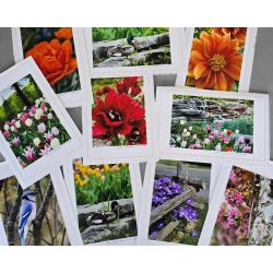 Spring Photography Cards