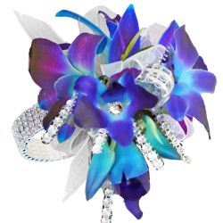 Alluring Nymph Corsage