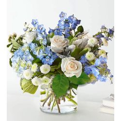 Clear skies Arrangement