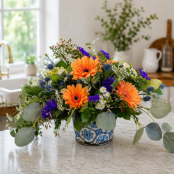 Gerbera garden style