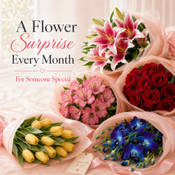 Monthly Flower Plan