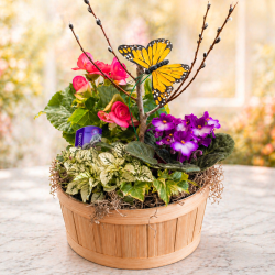 Flowering Gardens