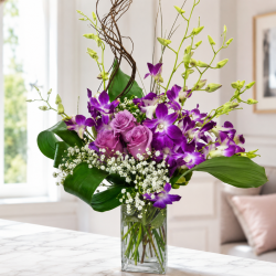 Orchid Delight