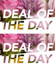 Mother's Day - Deal of the Day Bouquet