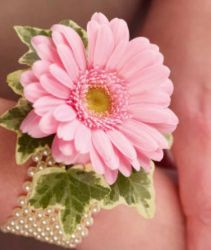 Gerbera wristlet
