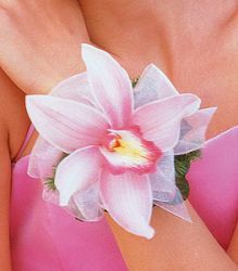 Cymbidium Orchid Wristlet 
