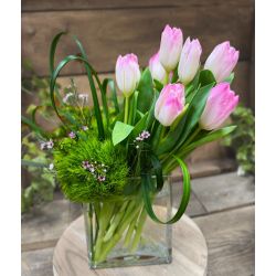 Spring Meadow Tulips