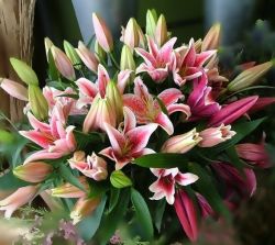 Manager's Favourites