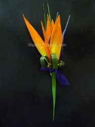 Bird of Paradise Boutonnière