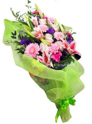 Stargazer Presentation 