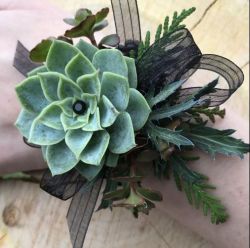 Succulent corsage and/or Boutonnière