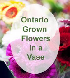 Ontario grown floral custom design