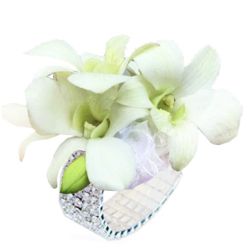 Dazzeling Elegance