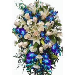 White and blue tribute